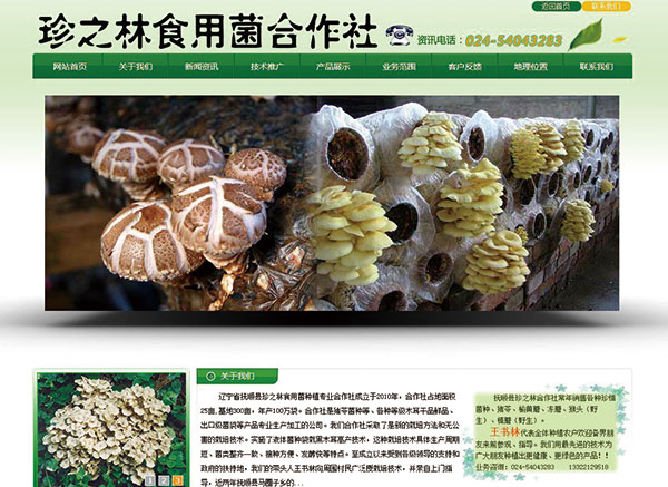 抚顺县珍之林食用菌种植专业合作社